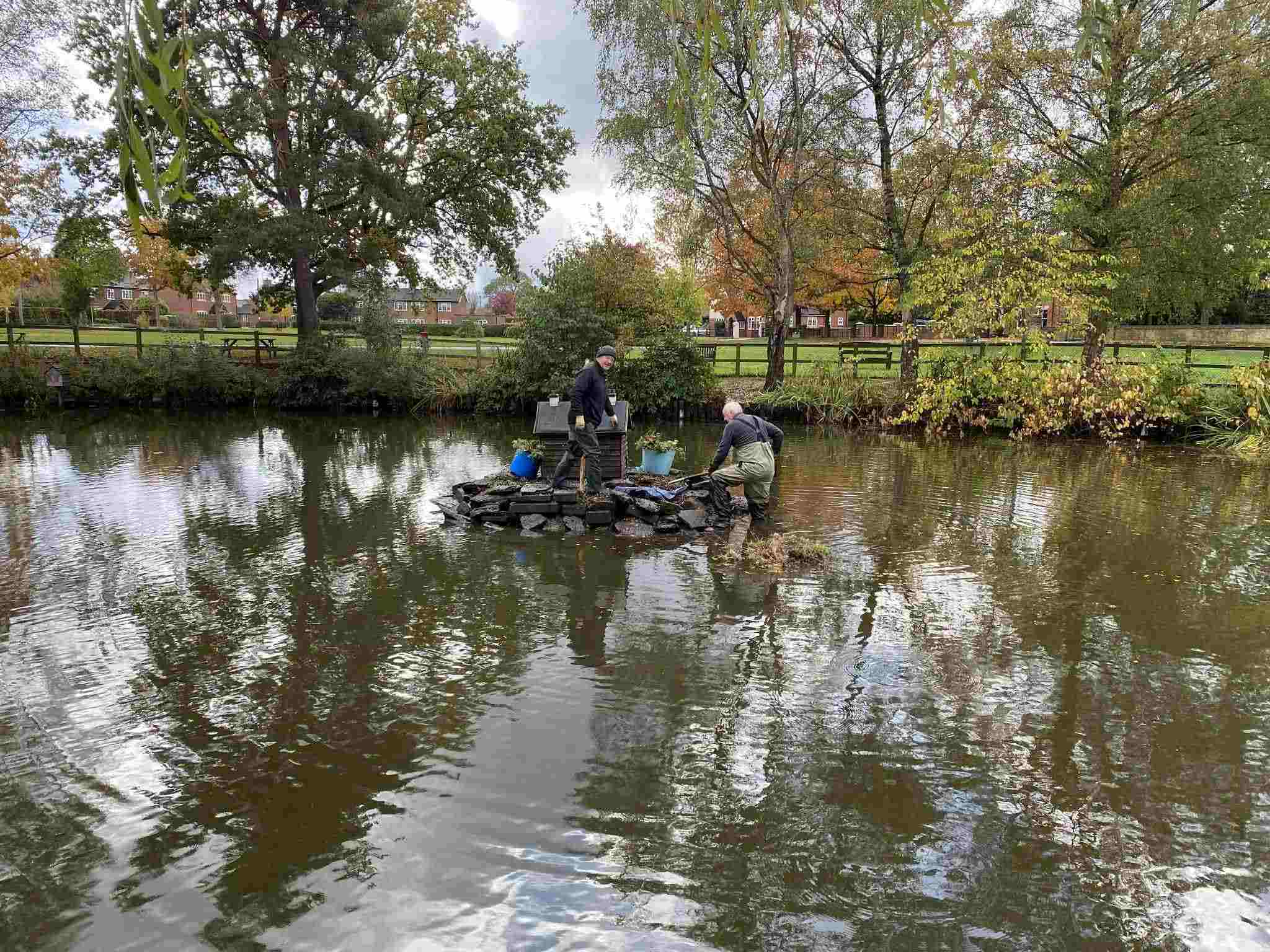 Cleaning up the pond, 2025